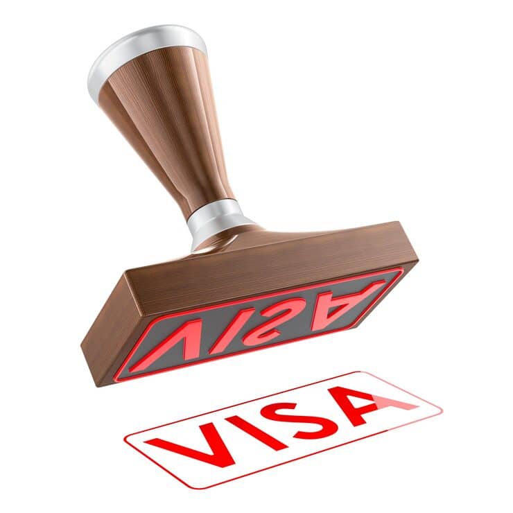 Assistance Visa